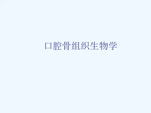 口腔骨组织生物学