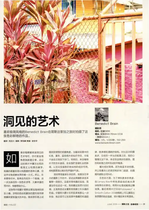 洞见的艺术
