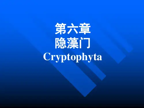 10.隐藻门