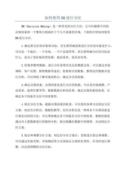 如何使用DM进行分区