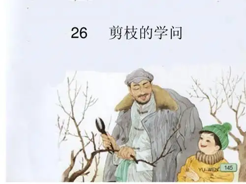 剪枝的学问第二课时