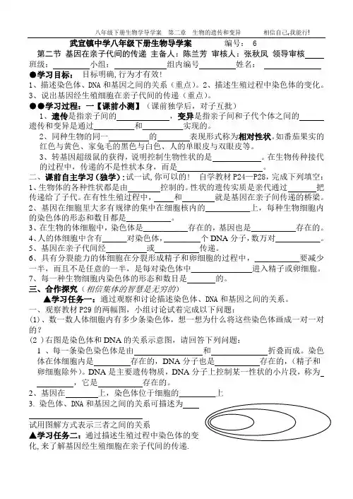 第二节_基因在亲子代间的传递学案