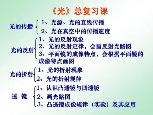 《光》总复习课