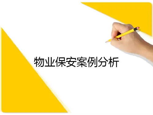 保安案例分析-课件PPT