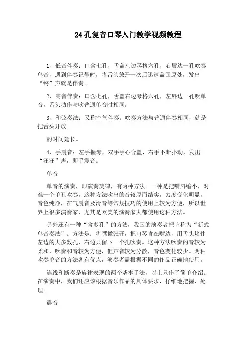 24孔复音口琴入门教学视频教程