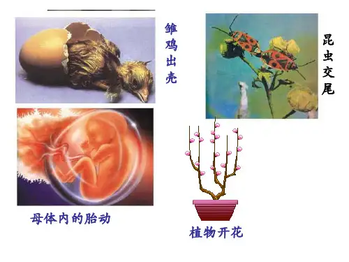 七年级生物下《人的生殖》
