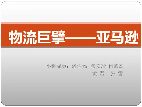 亚马逊ppt 4.0版本