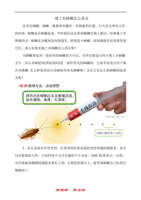 消灭蟑螂的小妙招 墙上有蟑螂怎么消灭