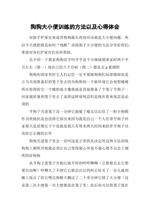 狗狗大小便训练的方法以及心得体会