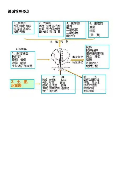 果园管理要点
