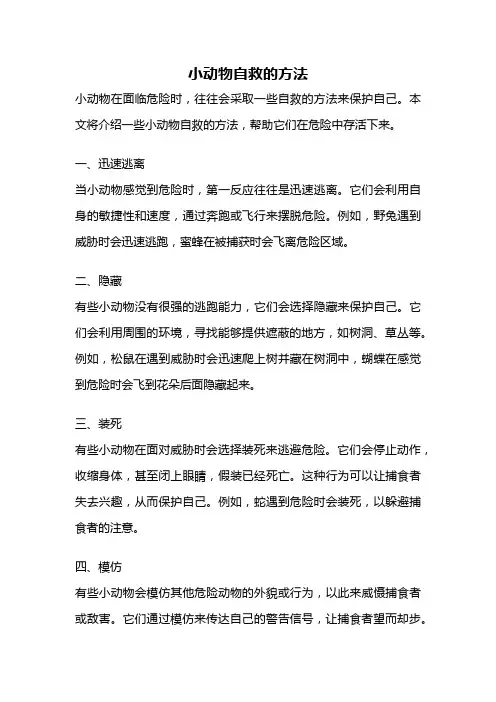 小动物自救的方法