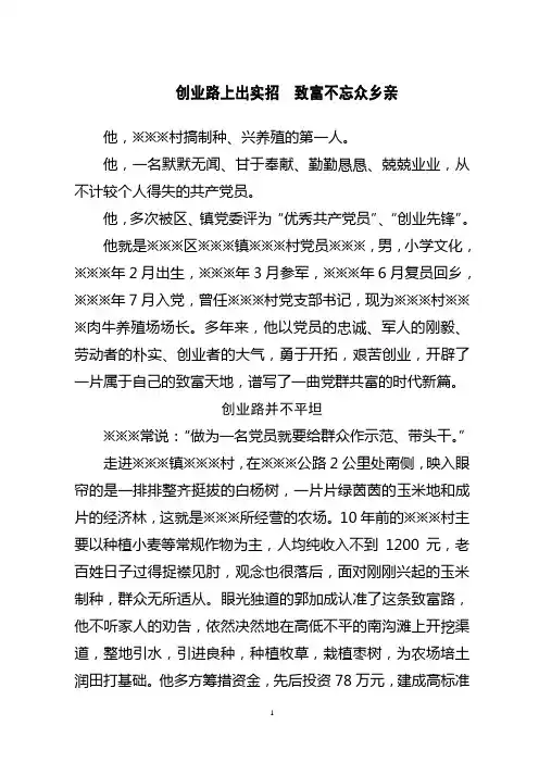 市级创业致富带头人先进事迹