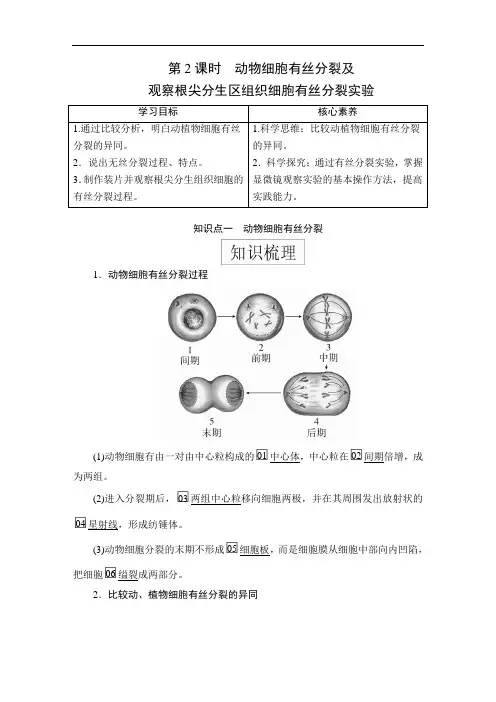 高中生物(新教材)《动物细胞有丝分裂及 观察根尖分生区组织细胞有丝分裂实验》导学案+课后练习题