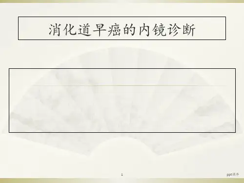 消化道早癌的诊断 ppt课件