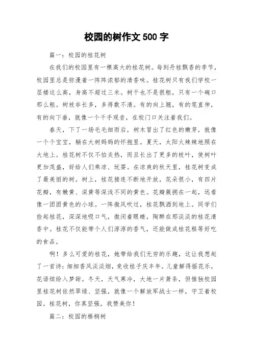 校园的树作文500字_作文