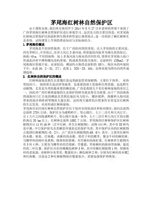 茅尾海红树林自然保护区