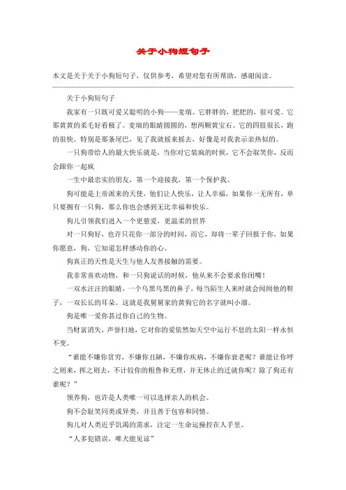 关于小狗短句子