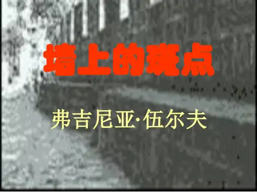 墙上的斑点 