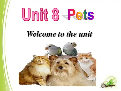 牛津译林版7B英语Unit8 Pets Welcome课件