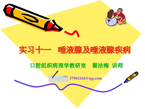 实习11及12唾液腺及唾液腺疾病第八版课件