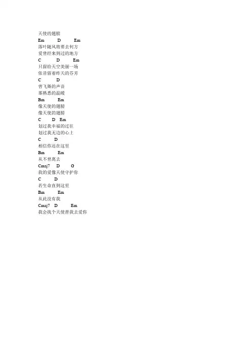 天使的翅膀