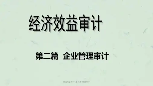 经济效益审计-第四章-管理审计课件