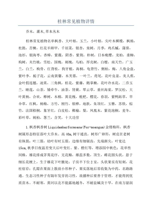 桂林常见植物详情