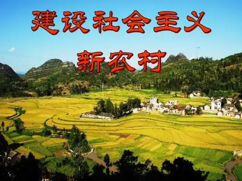第三课第一节-建设社会主义新农村