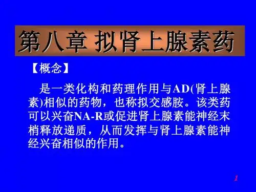 拟肾上腺素药 PPT课件