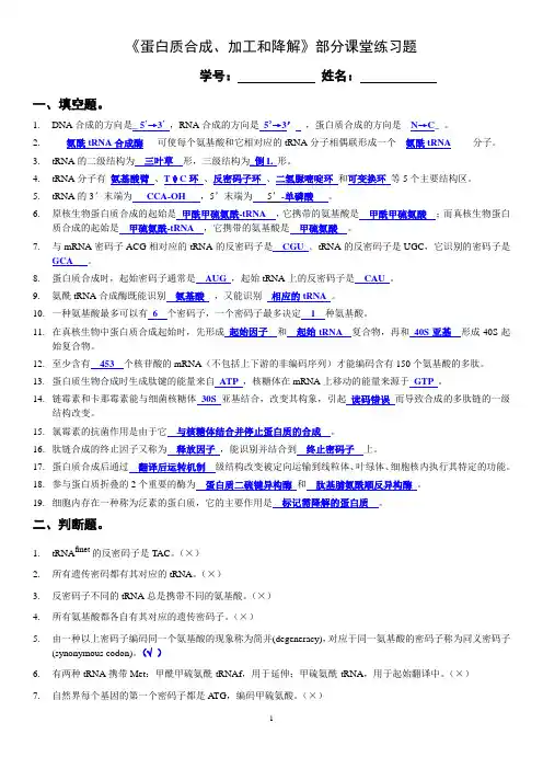 中国农业大学分子生物学导论蛋白质合成课堂练习 参考答案