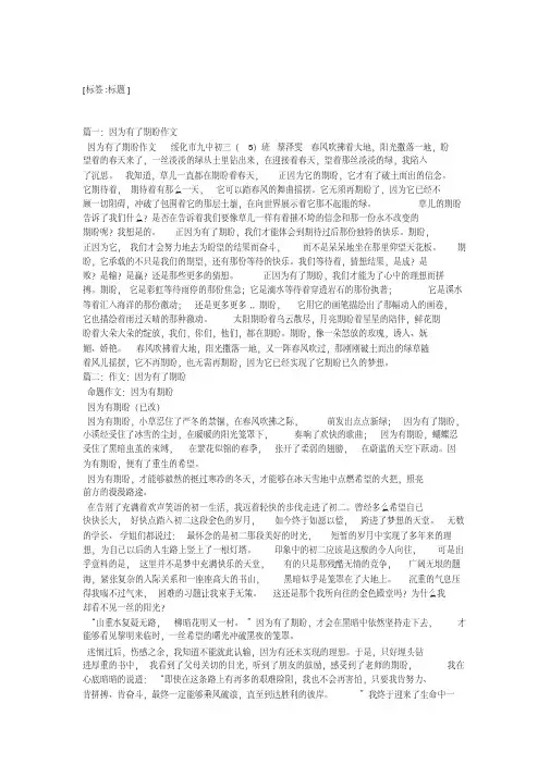 因为有了期盼,因为有了期盼作文700字