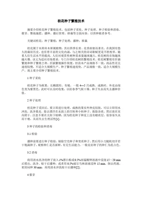 桂花种子繁殖技术