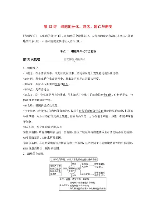 2020版高考生物新导学大一轮复习 第四单元 细胞的生命历程 第13讲 细胞的分化、衰老凋亡与癌变讲义含解析.