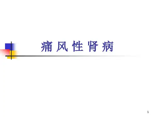 痛风性肾病护理查房精品PPT课件