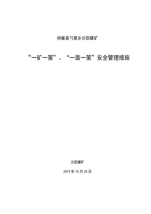 沙田煤矿“一矿一策”安全管理措施