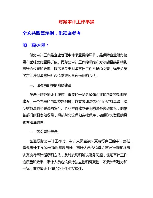财务审计工作举措