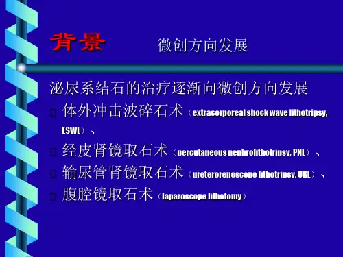 肾结石诊疗指南