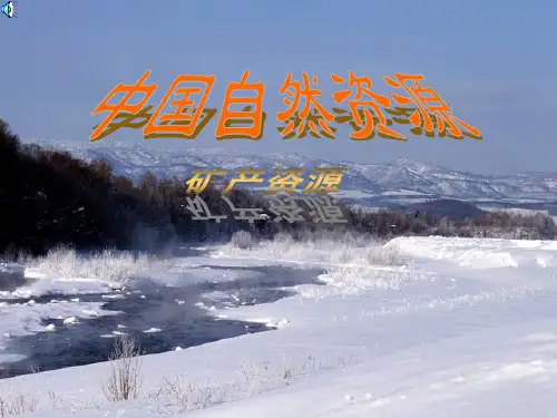 《中国矿产资源》PPT课件