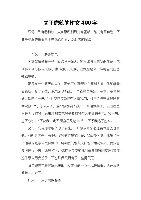 关于磨练的作文400字