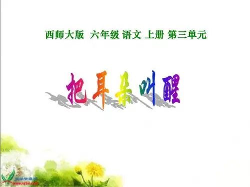 西师版六年级上册语文第12课《把耳朵叫醒》