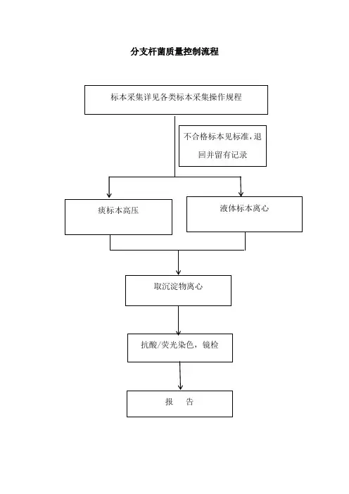 分支杆菌质量控制流程