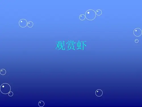 观赏虾的饲养与繁殖