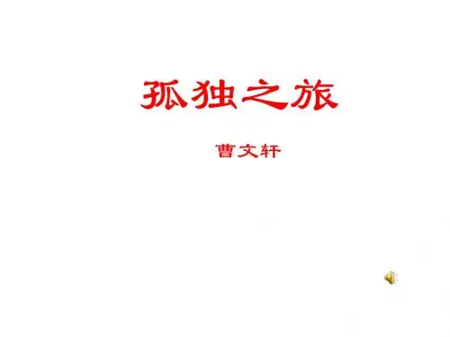 16  《孤独之旅》课件2
