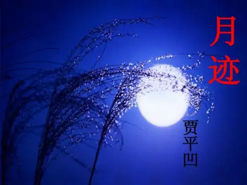 我的月迹 - 副本