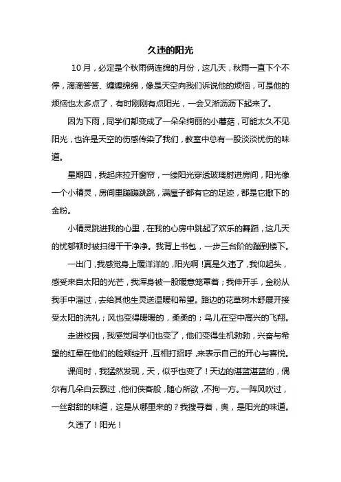 初一作文：久违的阳光作文500字
