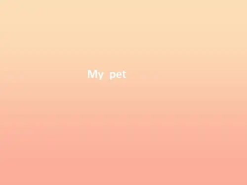三年级英语上册《Unit 4 pets》课件4 人教新起点