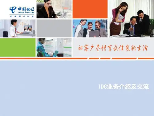电信IDC业务介绍及交流 39页PPT文档
