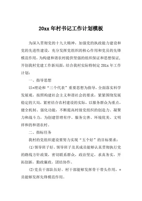 村书记工作计划模板