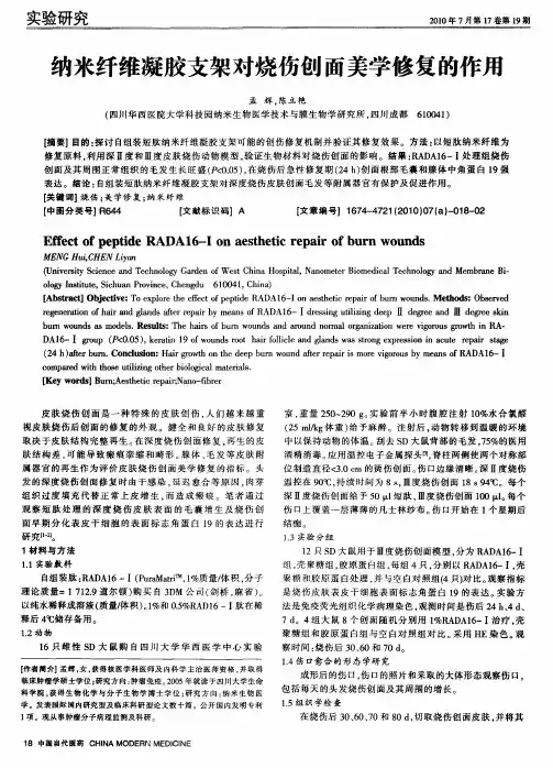 纳米纤维凝胶支架对烧伤创面美学修复的作用 2