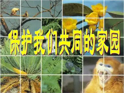 人教版教学课件保护我们共同的家园2